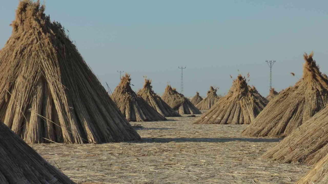 Gelmeyen kış kamışı da vurdu
