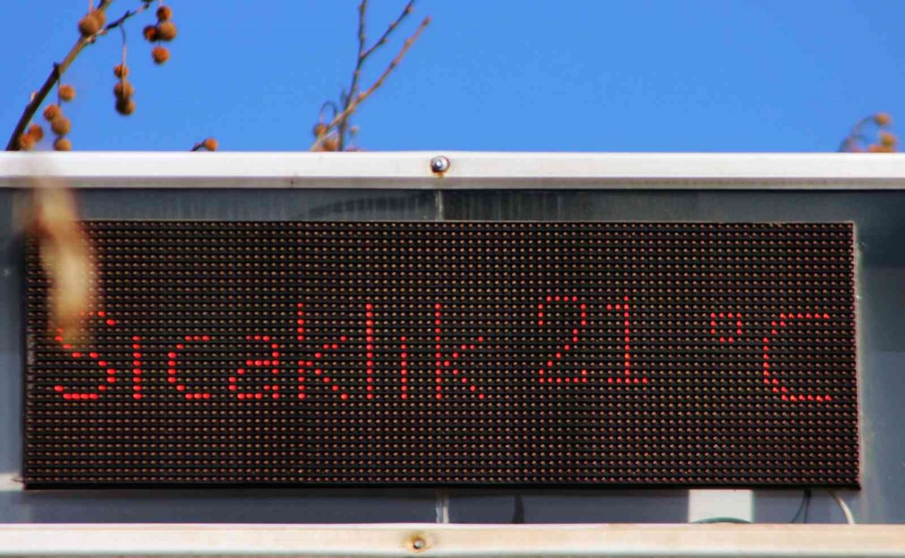 Ocak ayında ağaçlar çiçek açtı