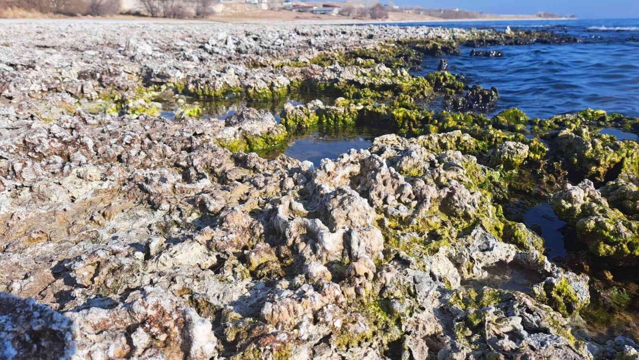 Van Gölü’nde su seviyesi düşmeye devam ediyor