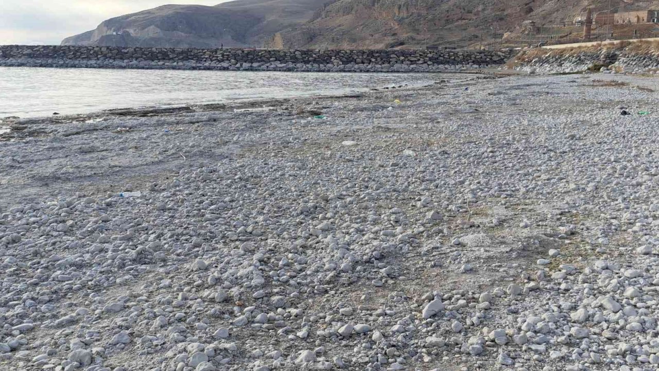 Van Gölü’nde su seviyesi düşmeye devam ediyor