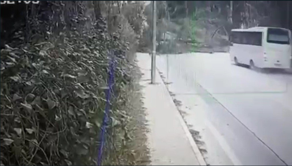 Fırtınanın devirdiği ağaç faciaya sebep oluyordu