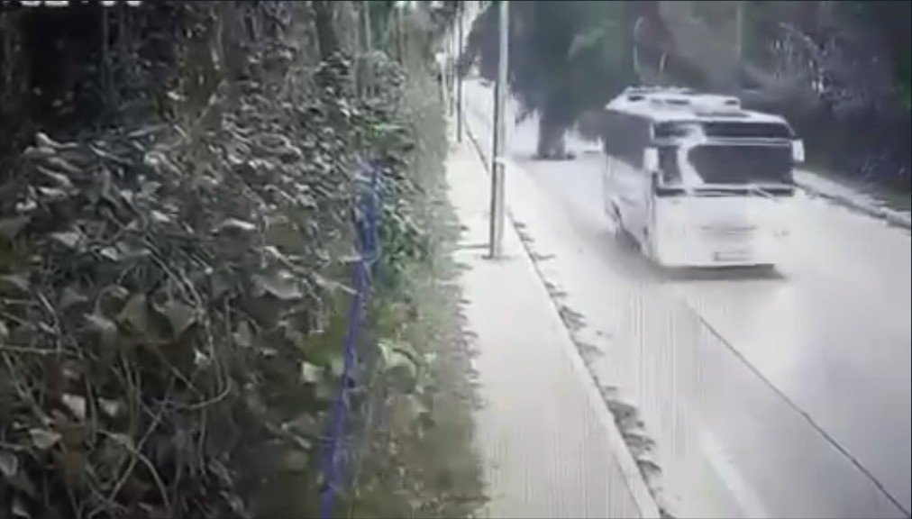 Fırtınanın devirdiği ağaç faciaya sebep oluyordu