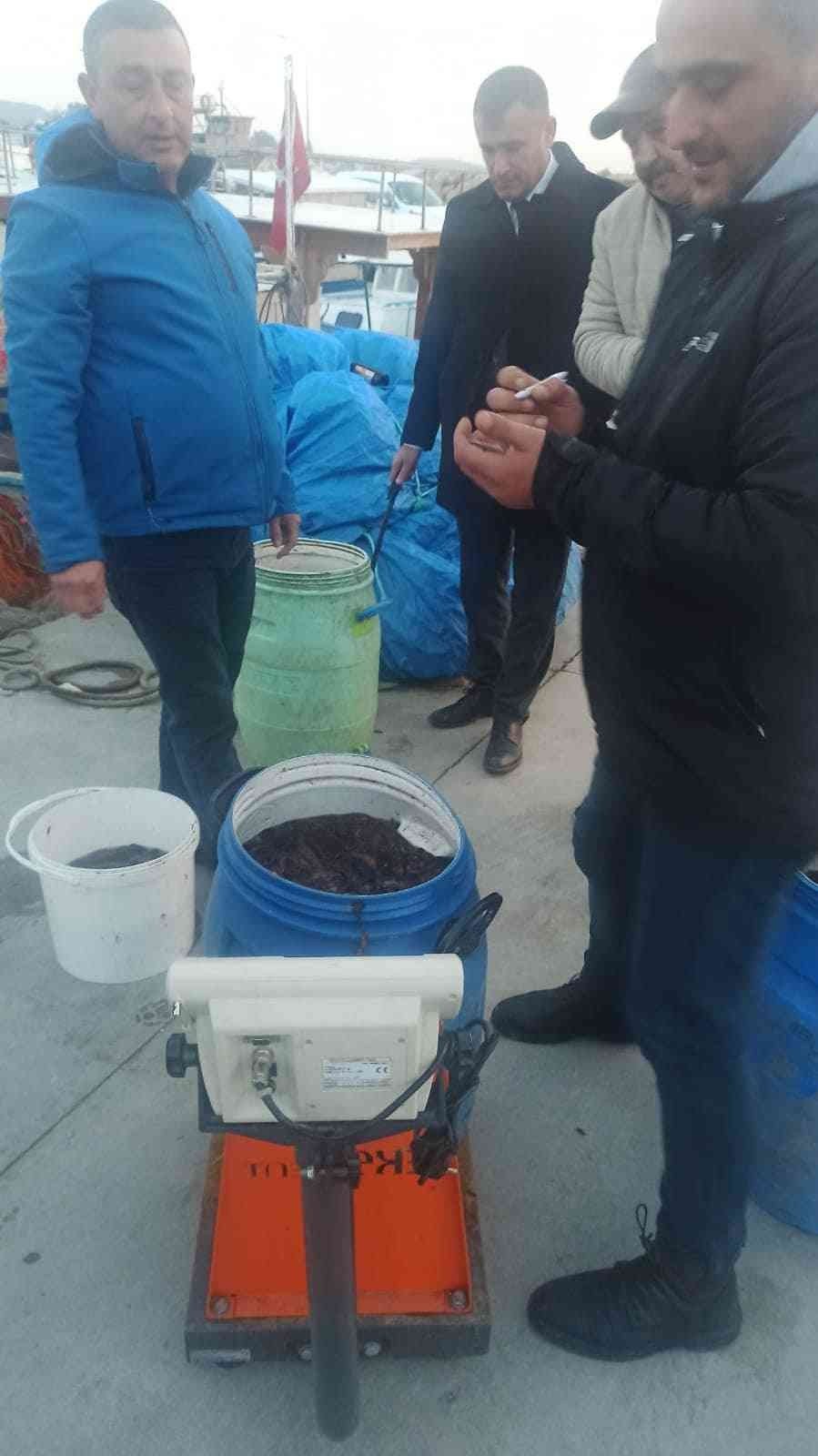 Didim’de deniz patlıcanı denetimi yapıldı