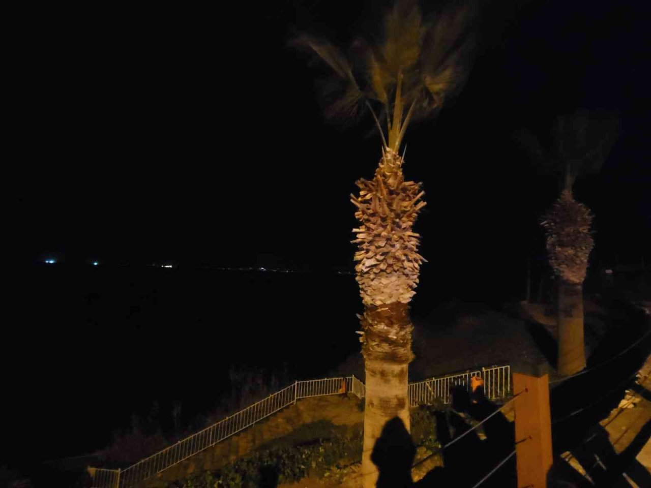 Didim’deki koyda bir kişinin cansız bedeni bulundu