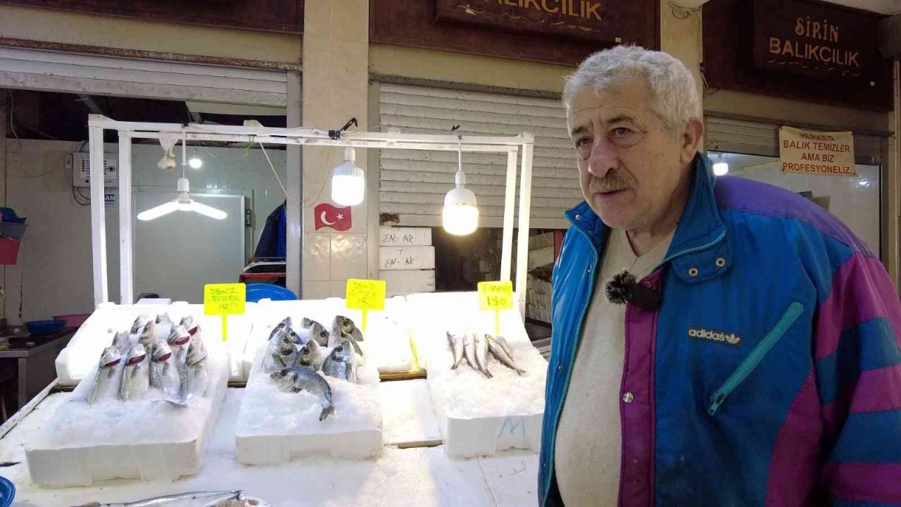 İzmir Foça tezgahlarında levrek bolluğu