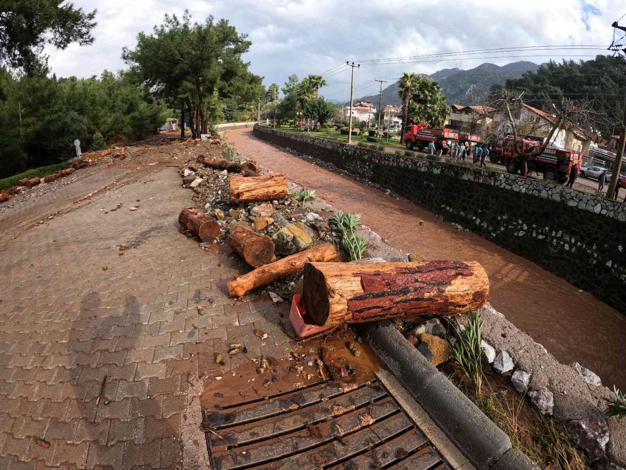 Başkan Oktay; “Herkes görevini yerine getirsin”