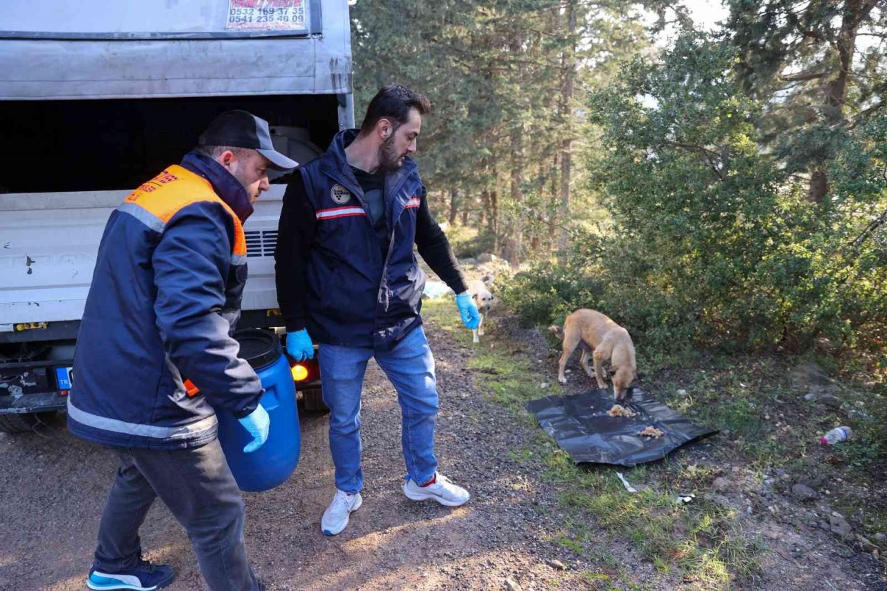 Buca’da atık yemekler can dostlarına gidiyor