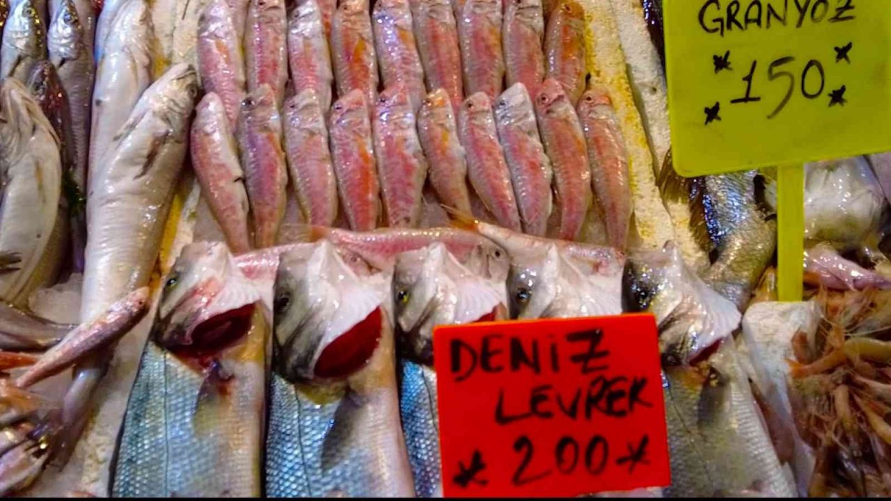 İzmir Foça tezgahlarında levrek bolluğu