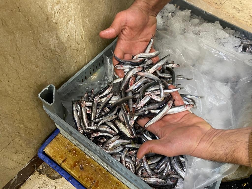 Kuraklık balıkları da vurdu