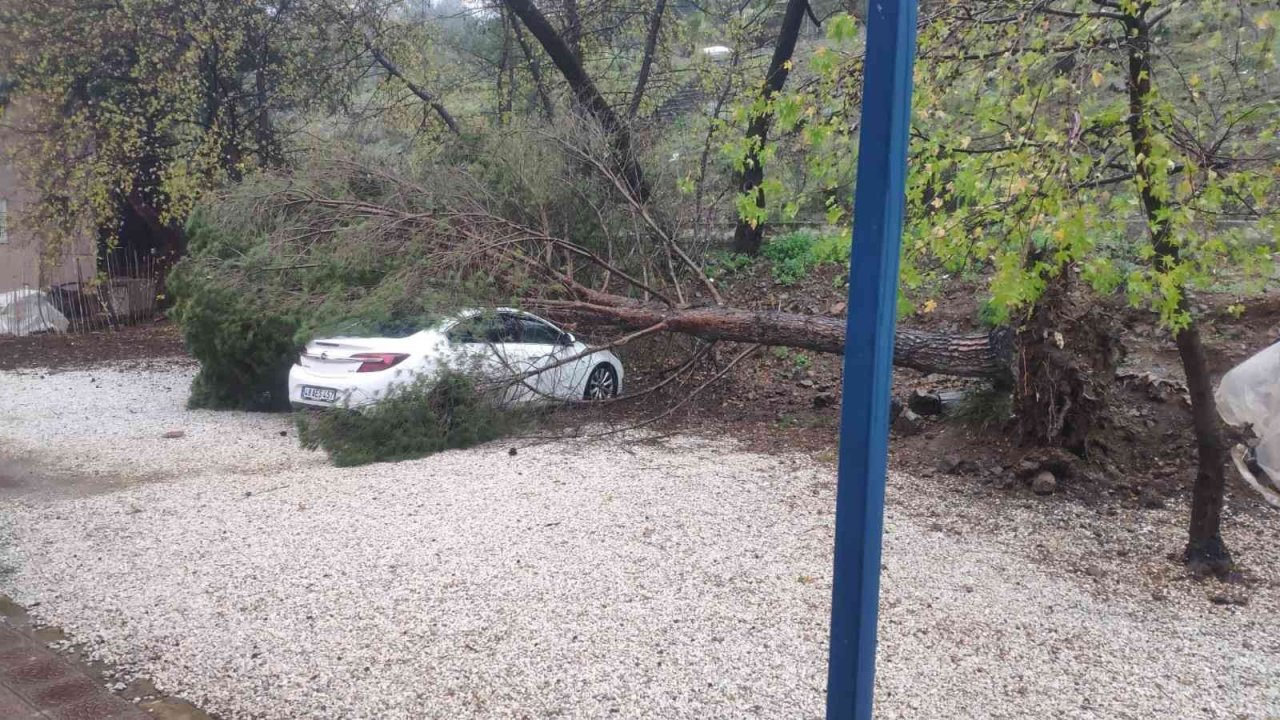 Fırtına ağaçları devirdi, lüks araç ve bir ev zarar gördü