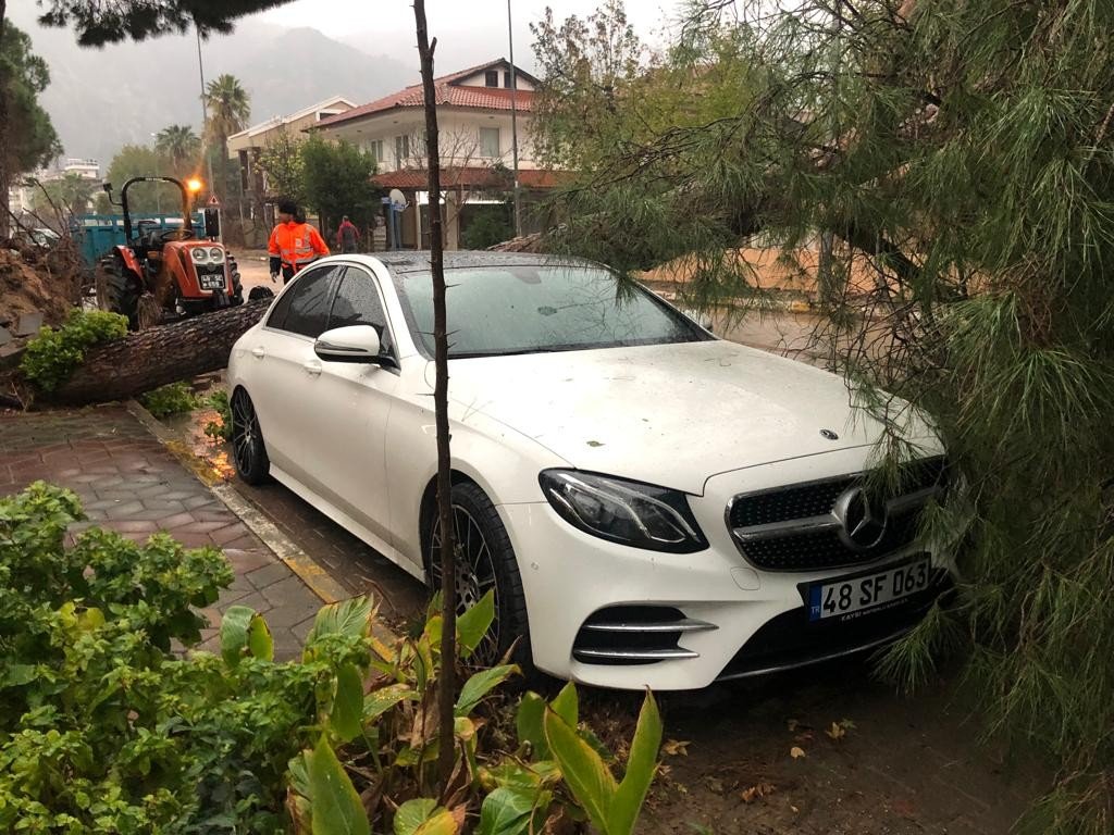 Fırtına ağaçları devirdi, lüks araç ve bir ev zarar gördü