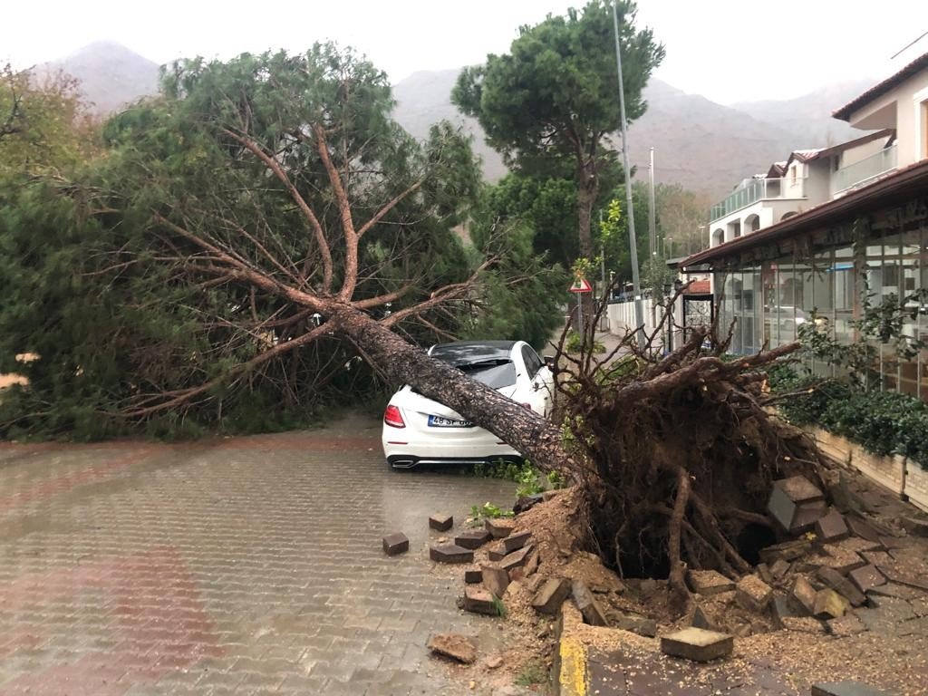 Fırtına ağaçları devirdi, lüks araç ve bir ev zarar gördü