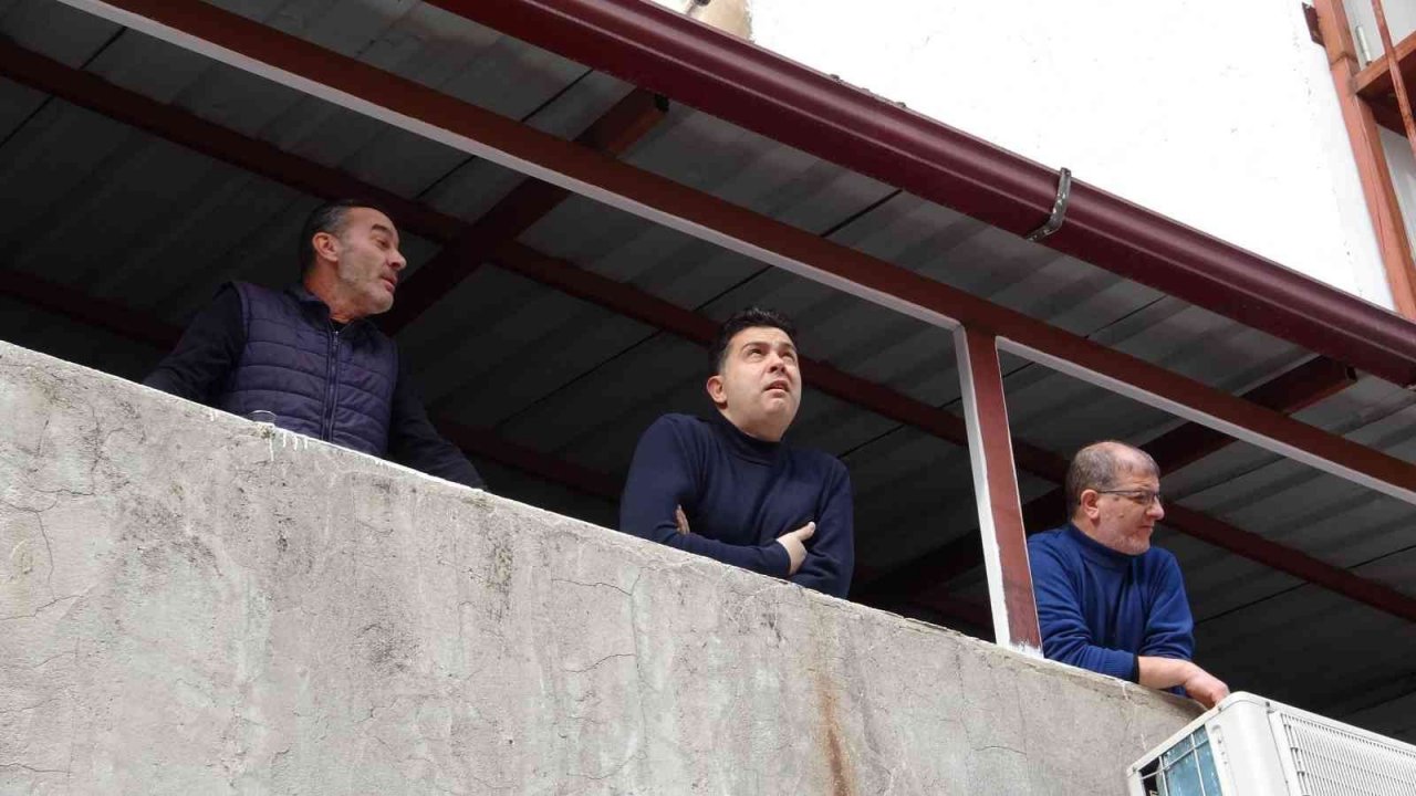 Mahsur kalan kedi 5. kattan aşağıya 4 ayağının üstüne düştü