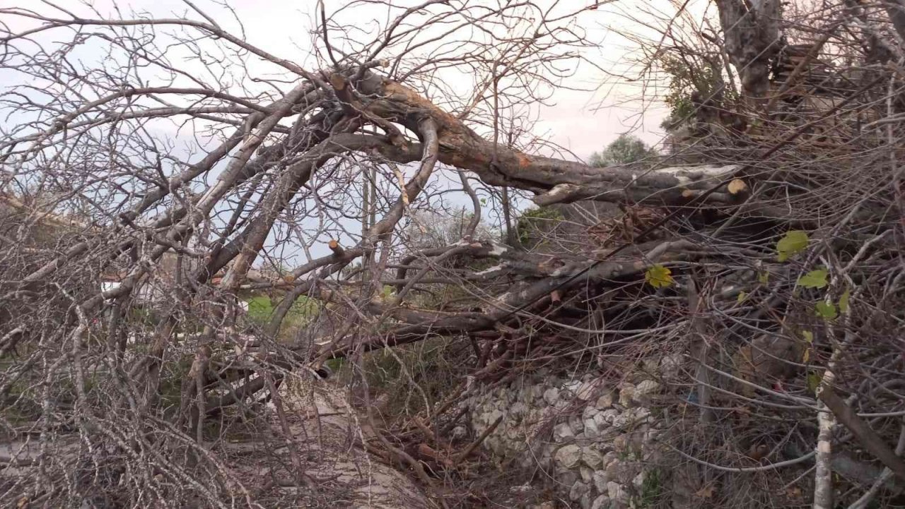Seydikemer’de fırtına etkili oldu