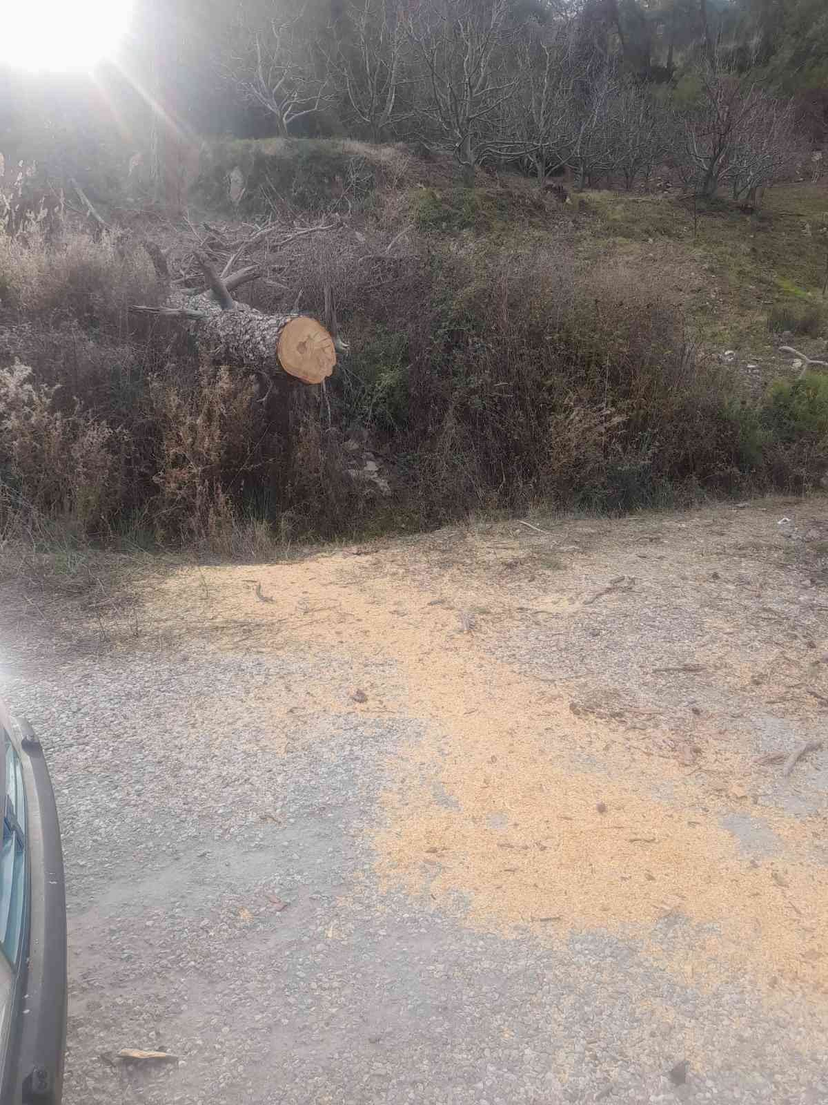 Seydikemer’de fırtına etkili oldu