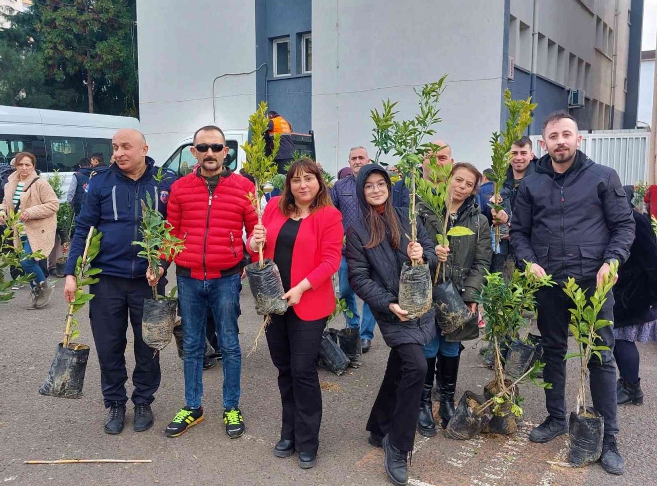 Altınordu Belediyesi 341 bin fidanı toprakla buluşturdu