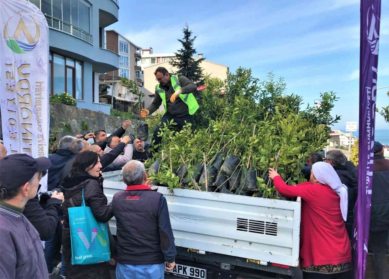 Altınordu Belediyesi 341 bin fidanı toprakla buluşturdu