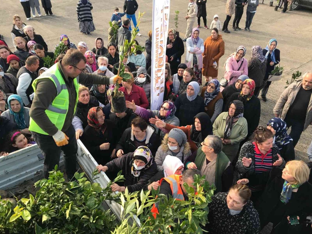Altınordu Belediyesi 341 bin fidanı toprakla buluşturdu