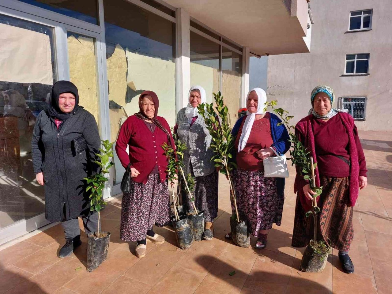 Altınordu Belediyesi 341 bin fidanı toprakla buluşturdu