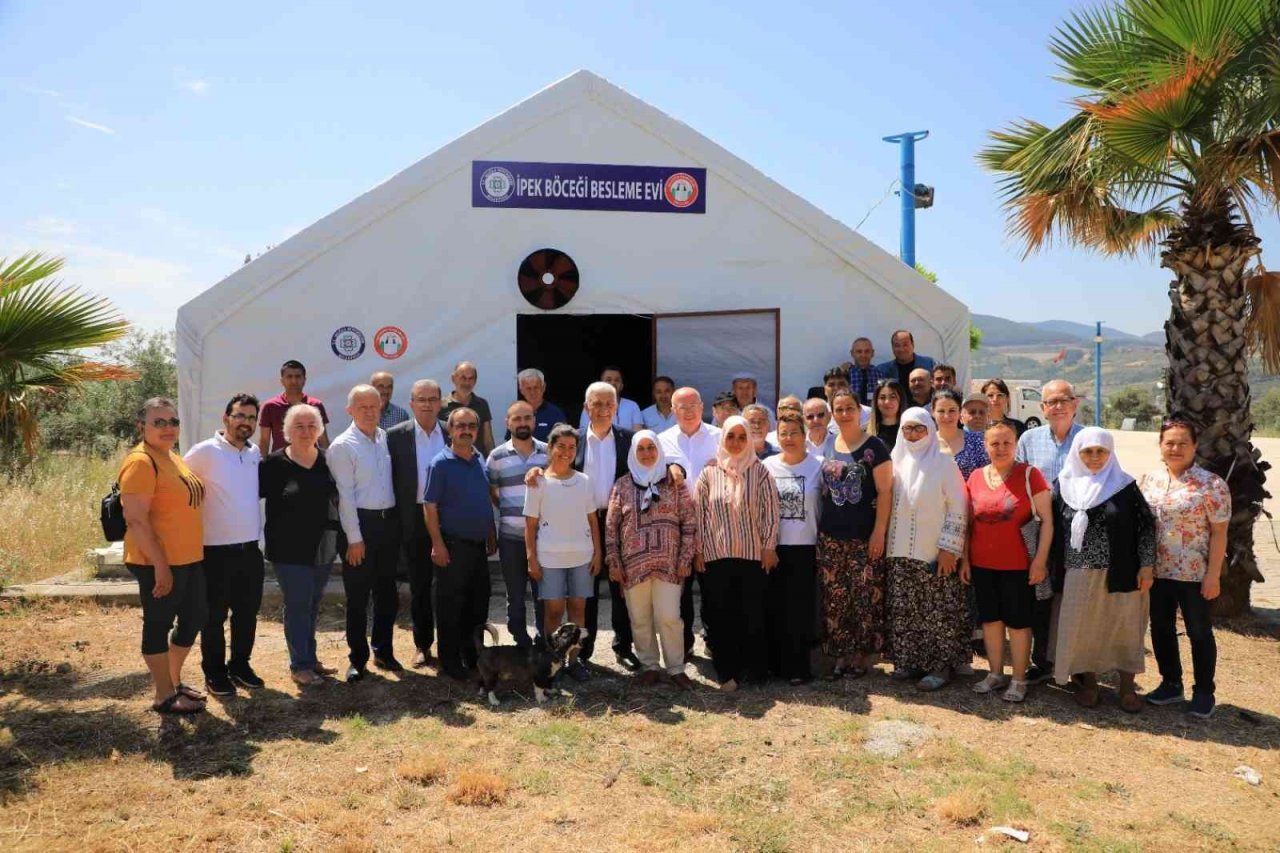 Büyükşehir dut fidanı üretiyor, ipekböcekçiliğini destekliyor