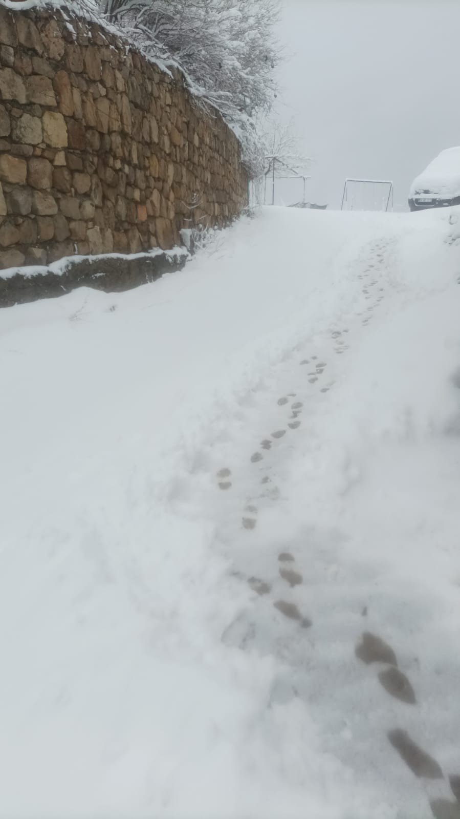 Diyarbakır kırsalı beyaza örtüyle kaplandı