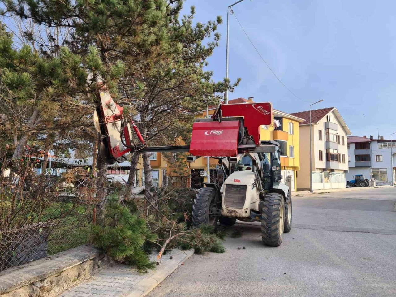 Kaldırımı kapatan ağaçlara budama