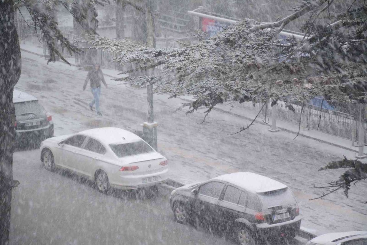 Tatvan’da kar yağışı başladı