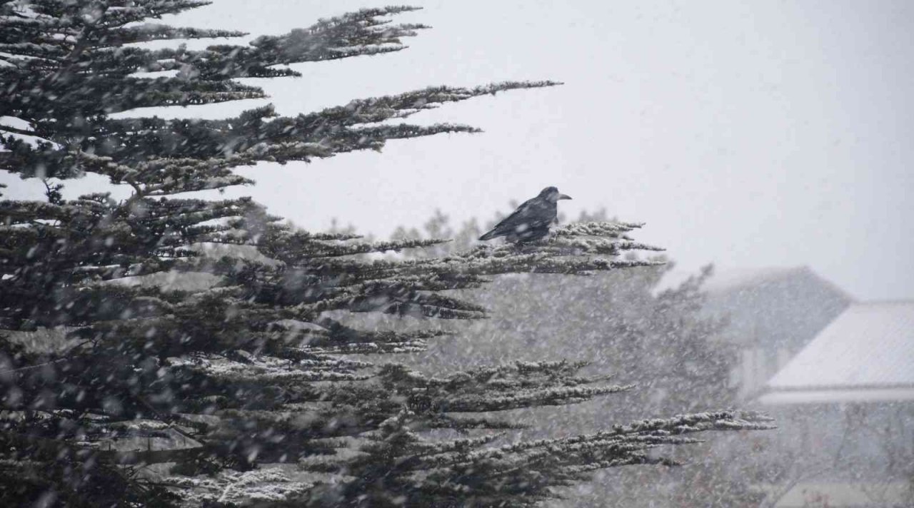 Tatvan’da kar yağışı başladı