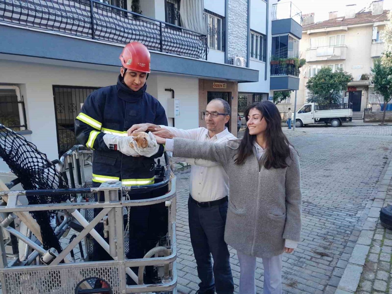 Ağaçta mahsur kalan kedinin imdadına itfaiye ekipleri yetişti