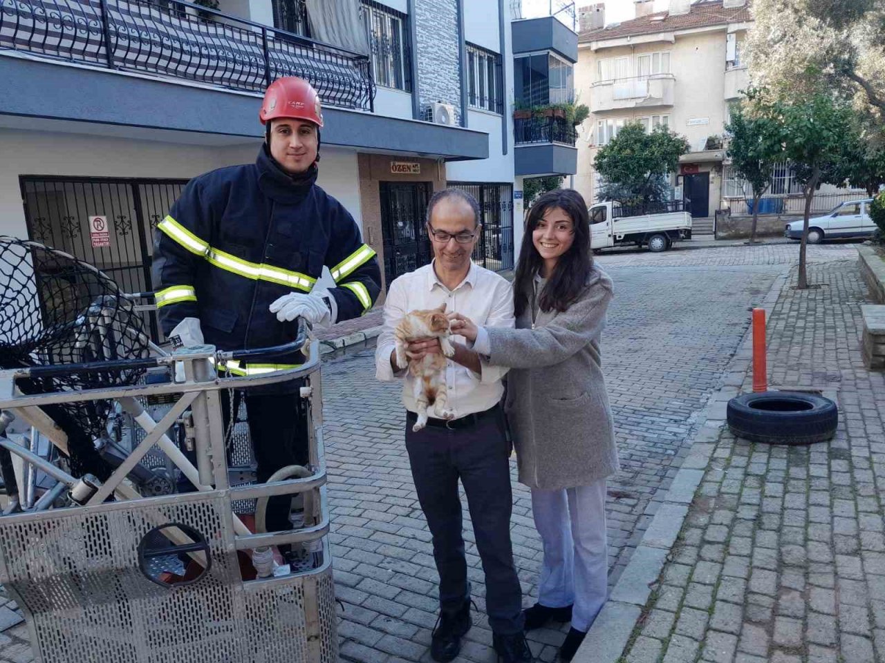 Ağaçta mahsur kalan kedinin imdadına itfaiye ekipleri yetişti
