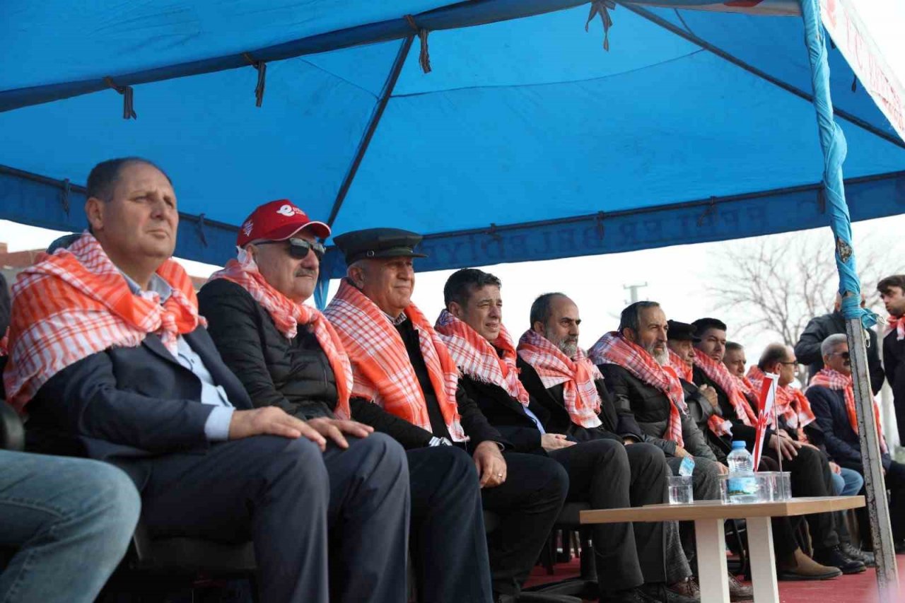 Efeler’deki ’Deve Güreşi Festivali’ne vatandaşlar yoğun ilgi gösterdi