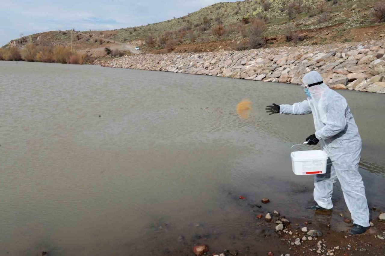 Talas’ta sinek ve haşerata erken önlem