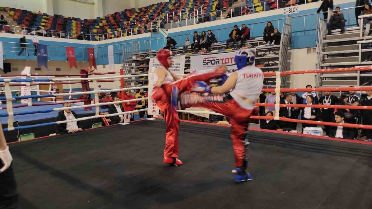 Türkiye Kick Boks Turnuvası sona erdi