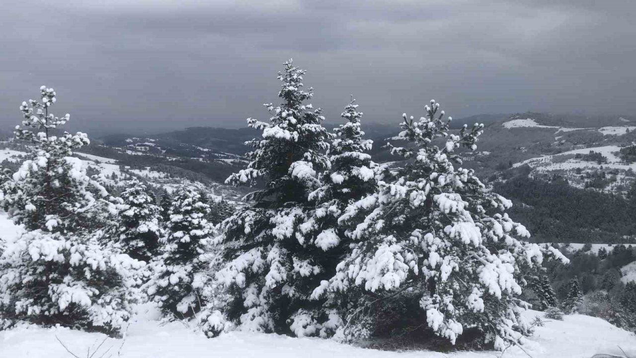 Kızlan Yaylası’nda beyaz güzellik