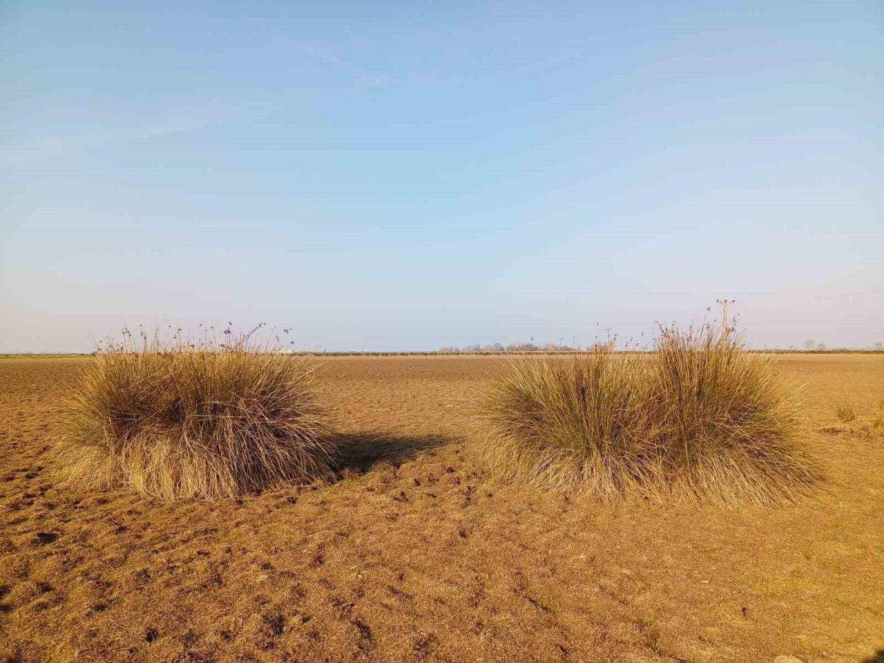 Sağlam: Kuraklıkla ilgili her türlü senaryoya hazır ve tetikteyiz