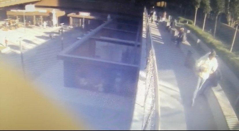 Şişlide cins köpek hırsızlığı kamerada: Köpek, polis baskınıyla kurtarıldı