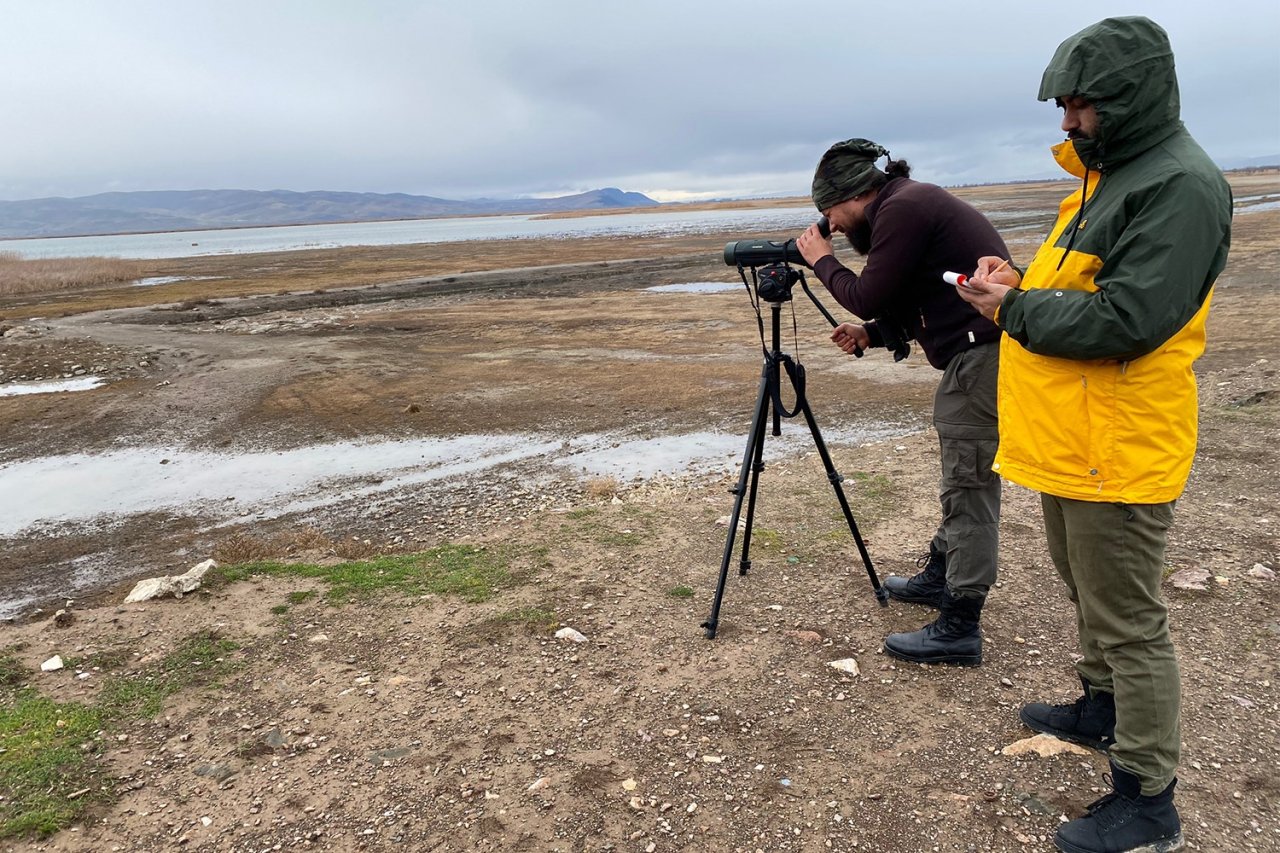 Denizli’de 33 farklı türde 29 bin 794 kuş sayıldı
