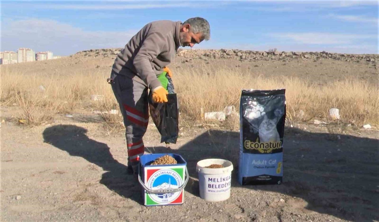 Melikgazi Belediyesi ve Öğrenciler Sokak Hayvanlarına Mama Dağıttı