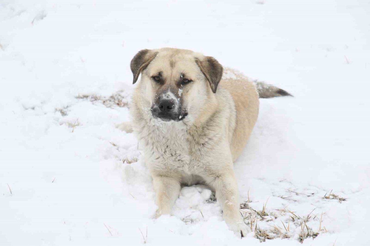Ankara’da etkili olan kar, havadan görüntülendi