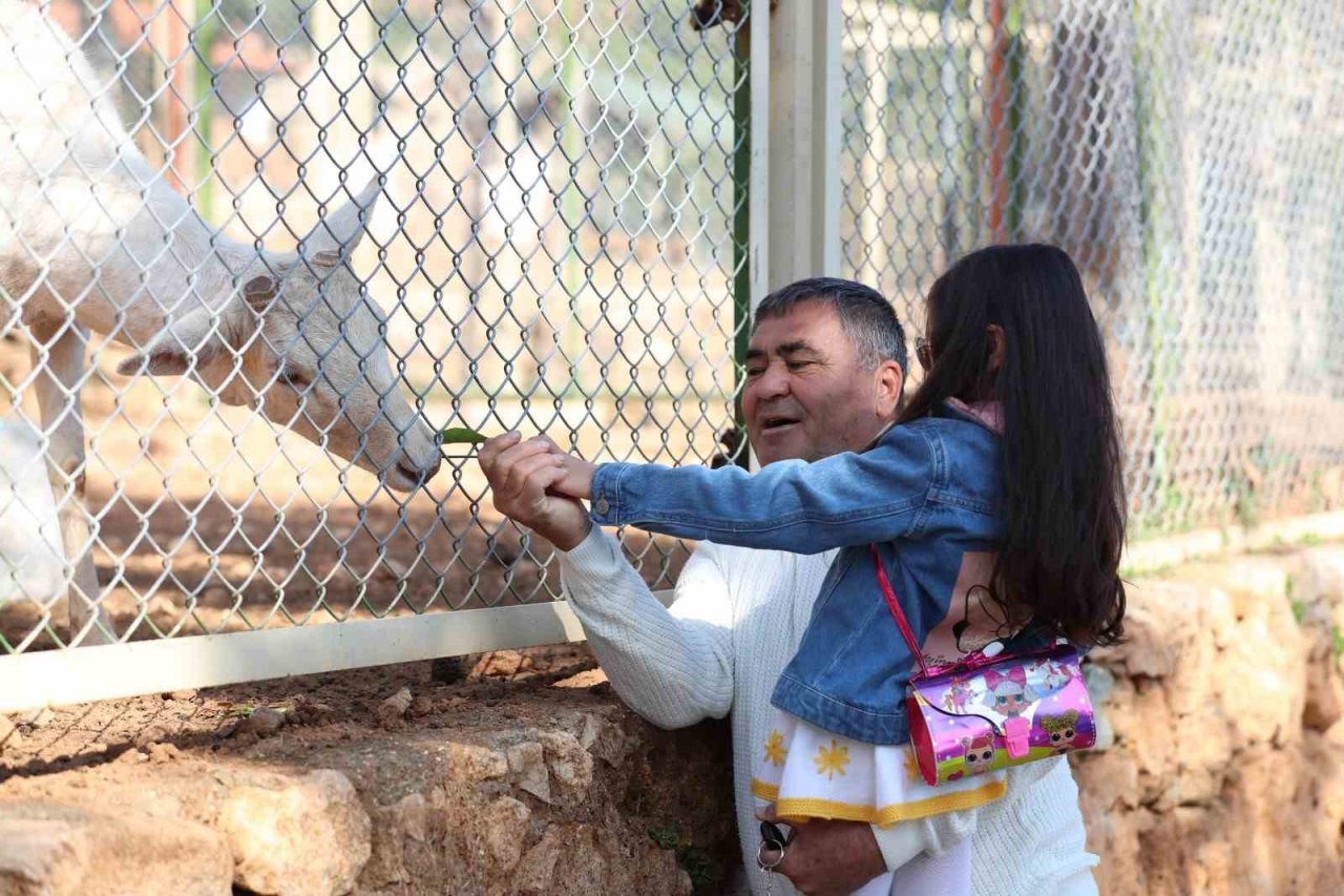 127 türde hayvana ev sahipliğini yapan yaşam parkına yoğun ilgi