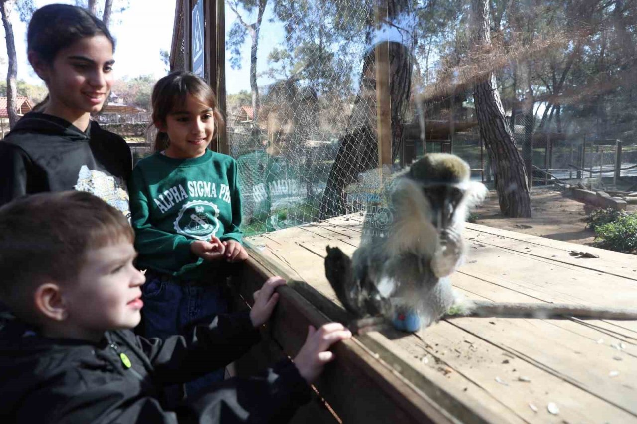 127 türde hayvana ev sahipliğini yapan yaşam parkına yoğun ilgi