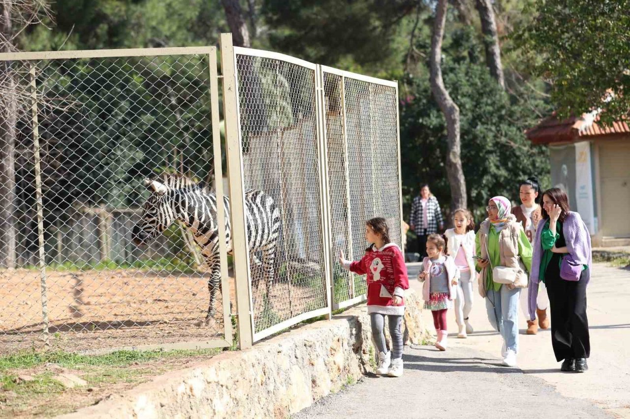 127 türde hayvana ev sahipliğini yapan yaşam parkına yoğun ilgi