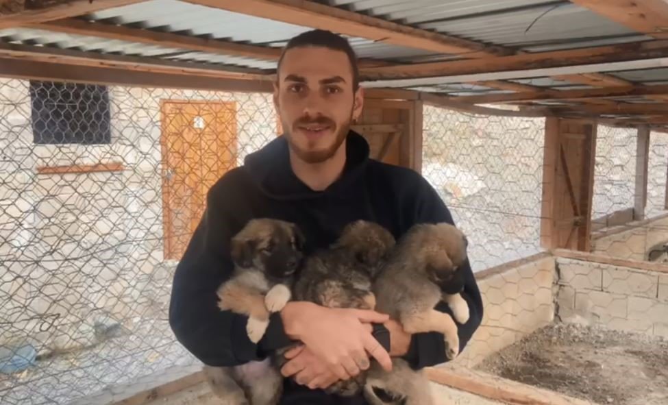 Yıkılan beton bloklarda mahsur kalan yavru köpekler, iş makinesi yardımıyla kurtarıldı