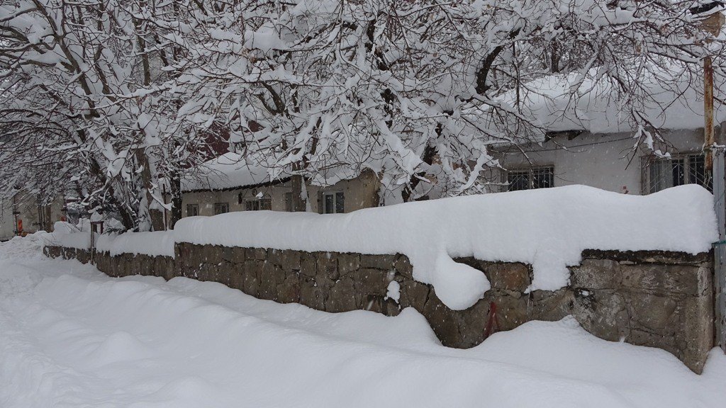 Bitlis’te tek katlı evler ve arabalar kara gömüldü