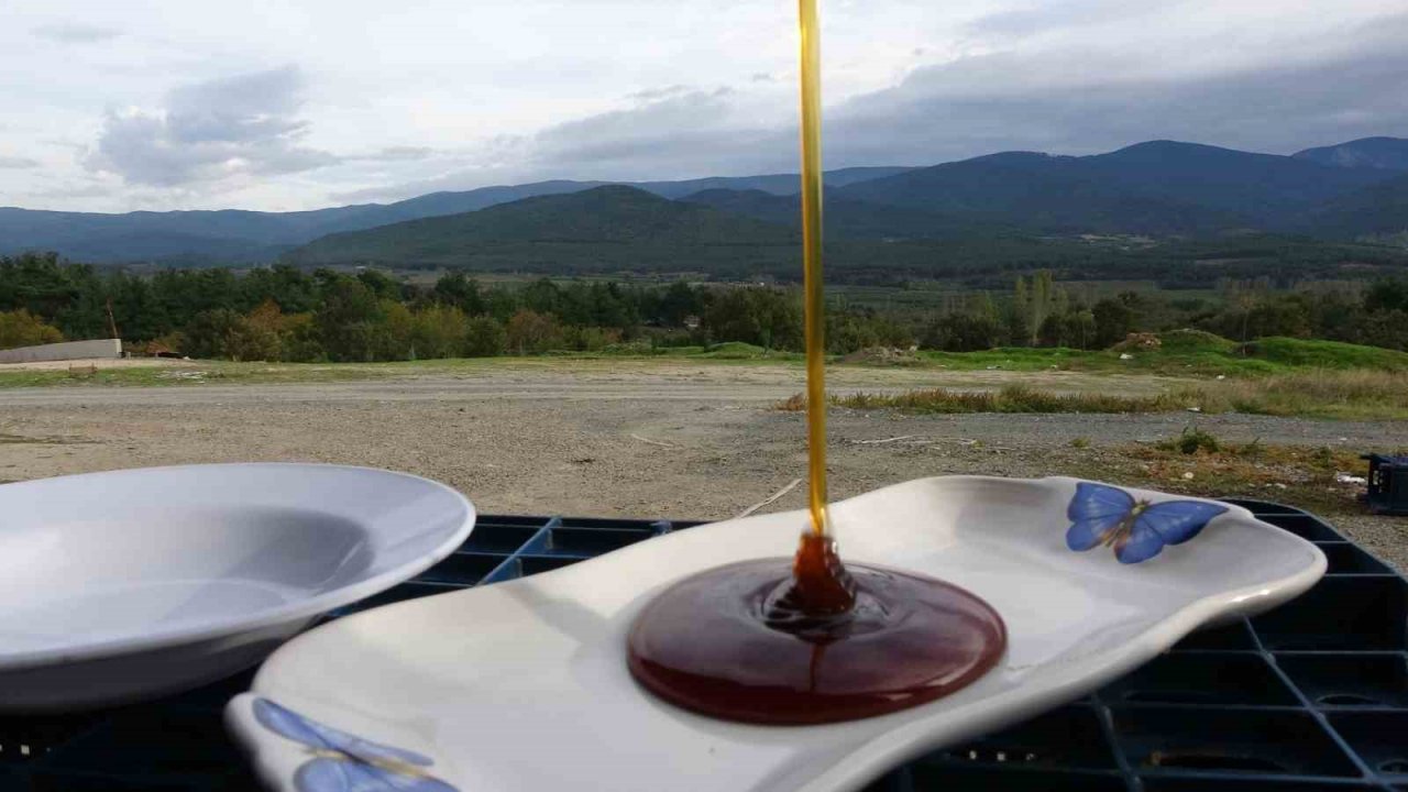 Çanakkale balı Avrupa yolcusu