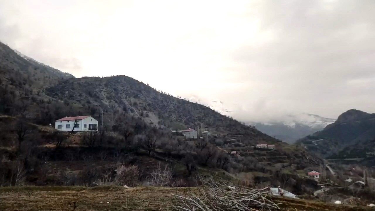 Sürü halinde köye inen kurtlar güvenlik kamerasına yansıdı