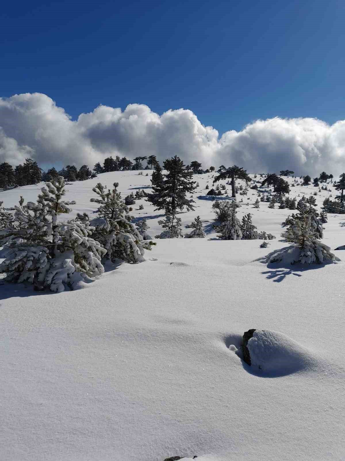 Karın keyfi Tuzlabeli Geçidinde yaşandı