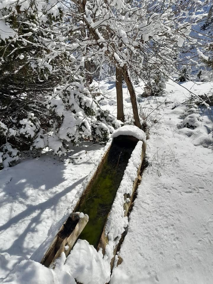 Karın keyfi Tuzlabeli Geçidinde yaşandı