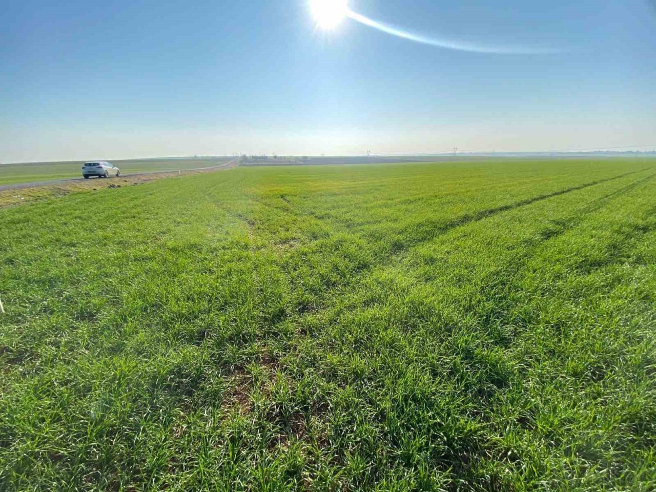 Pamuk ve mısırda düşüş yaşandı, kuraklık kriz merkezi oluşturuldu