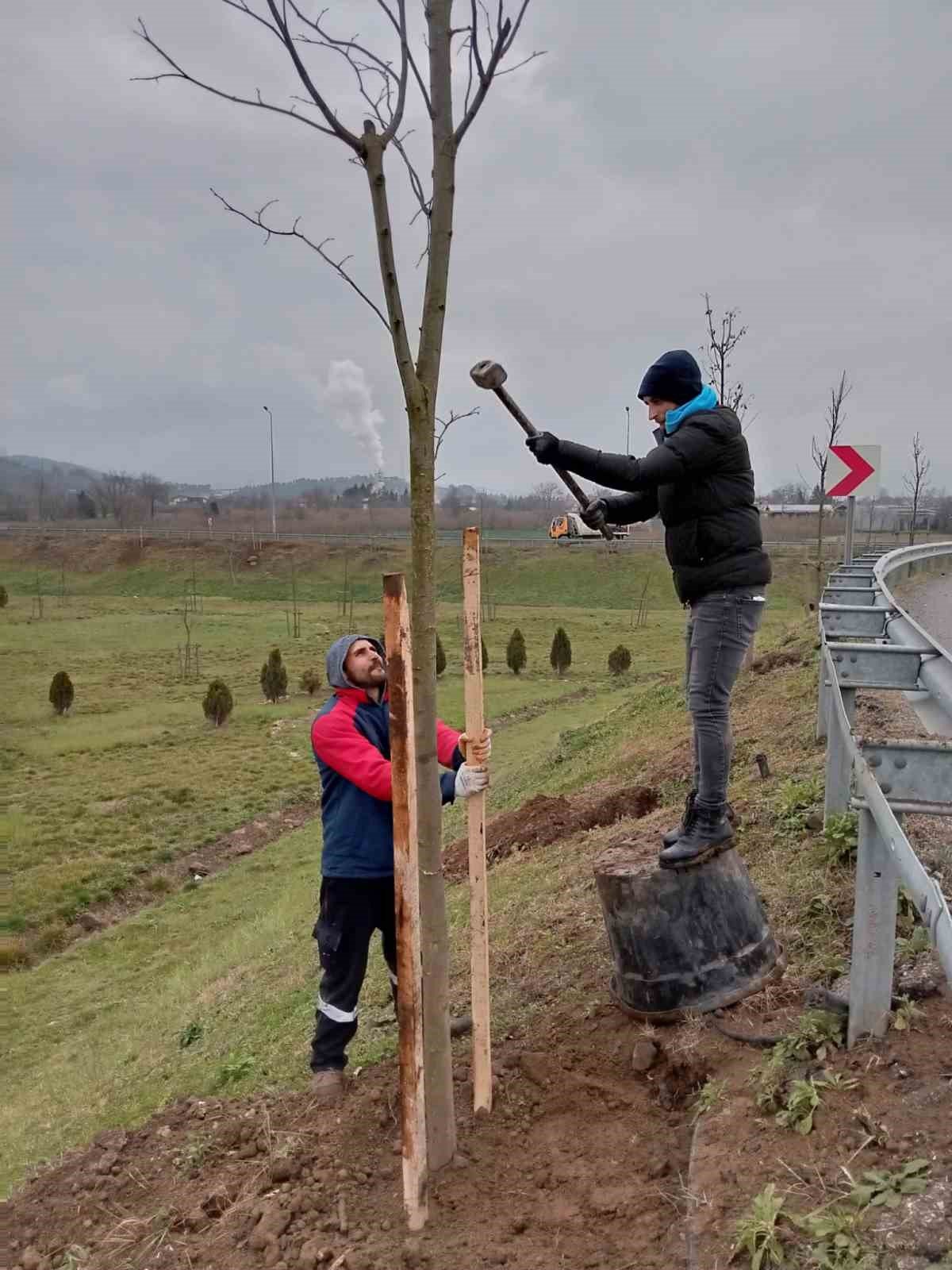 Düzce’yi park ve bahçeler güzelleştiriyor